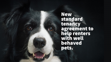 New standard tenancy agreement to help renters with well behaved pets